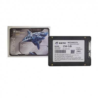 Ổ cứng SSD SSTC Megamouth M100 256GB SATA III